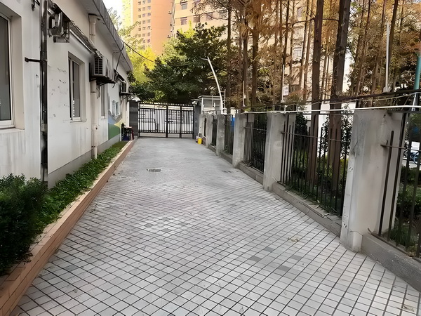 怎么积分入户_2025上海城市形象片焕新发布：上海新一刻，城市因你更美好 快车撞上城际一辆野猪